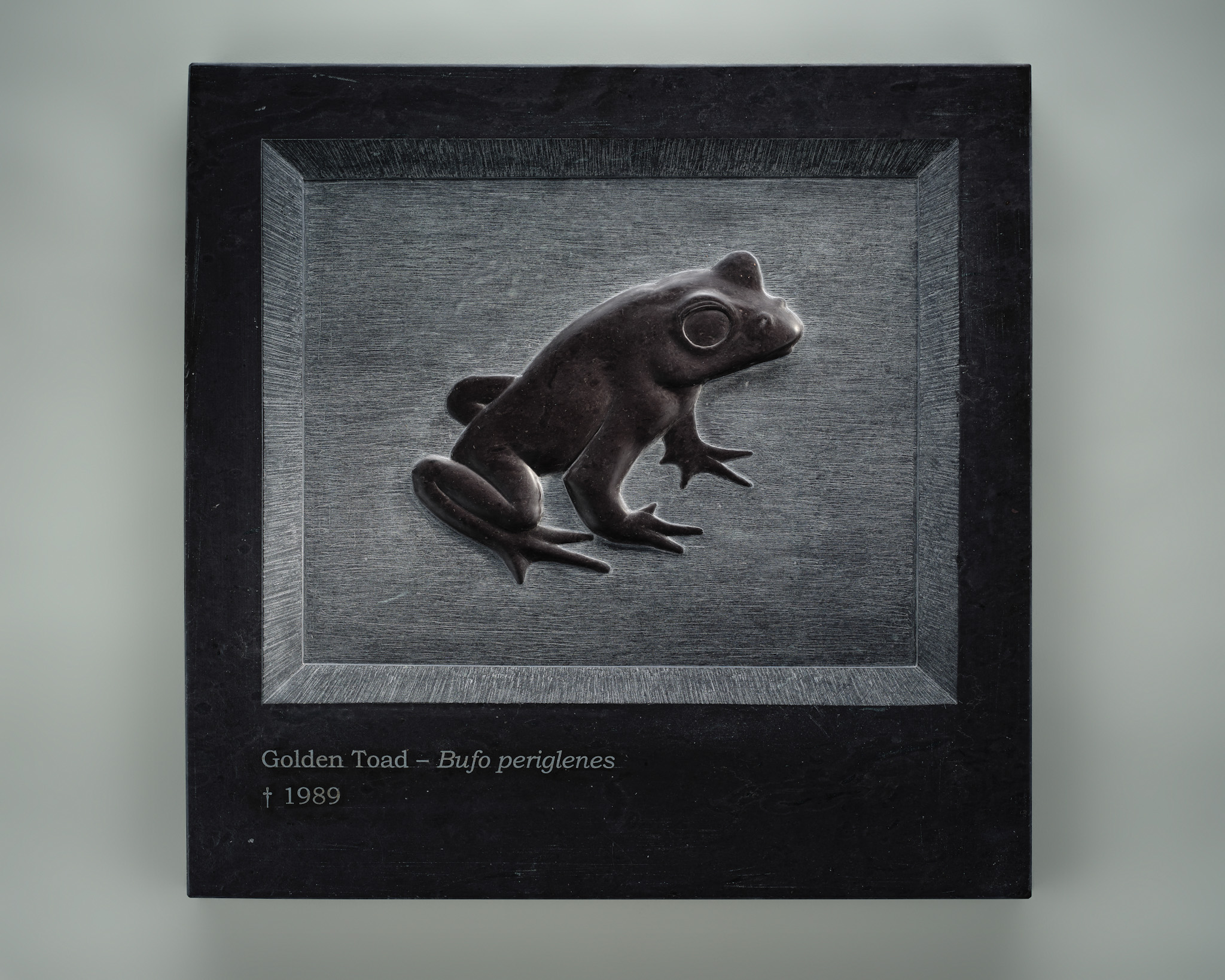 Golden Toad — Bufo periglenes † 1989