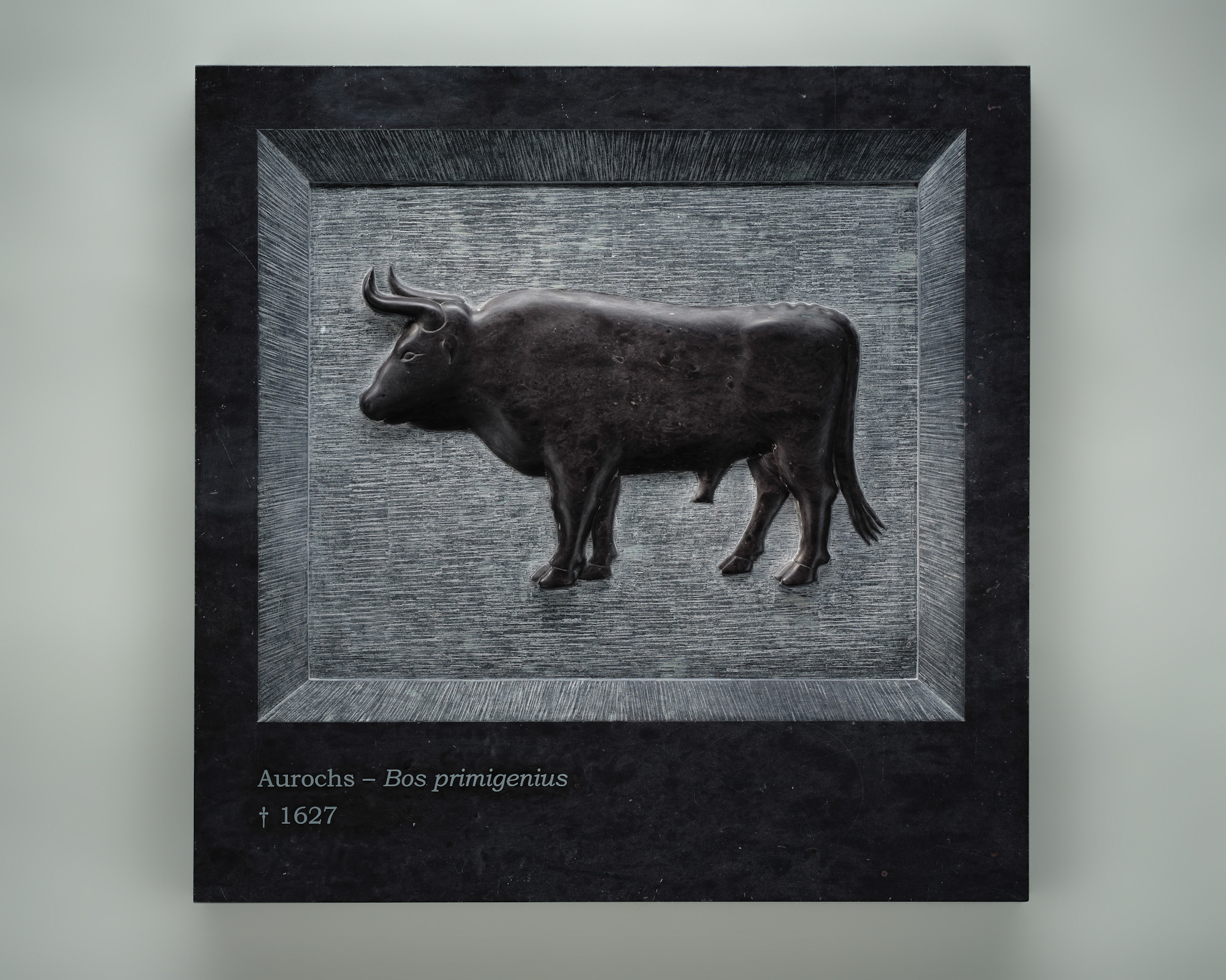 Aurochs — Bos primigenius † 1627